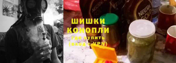стаф Верея